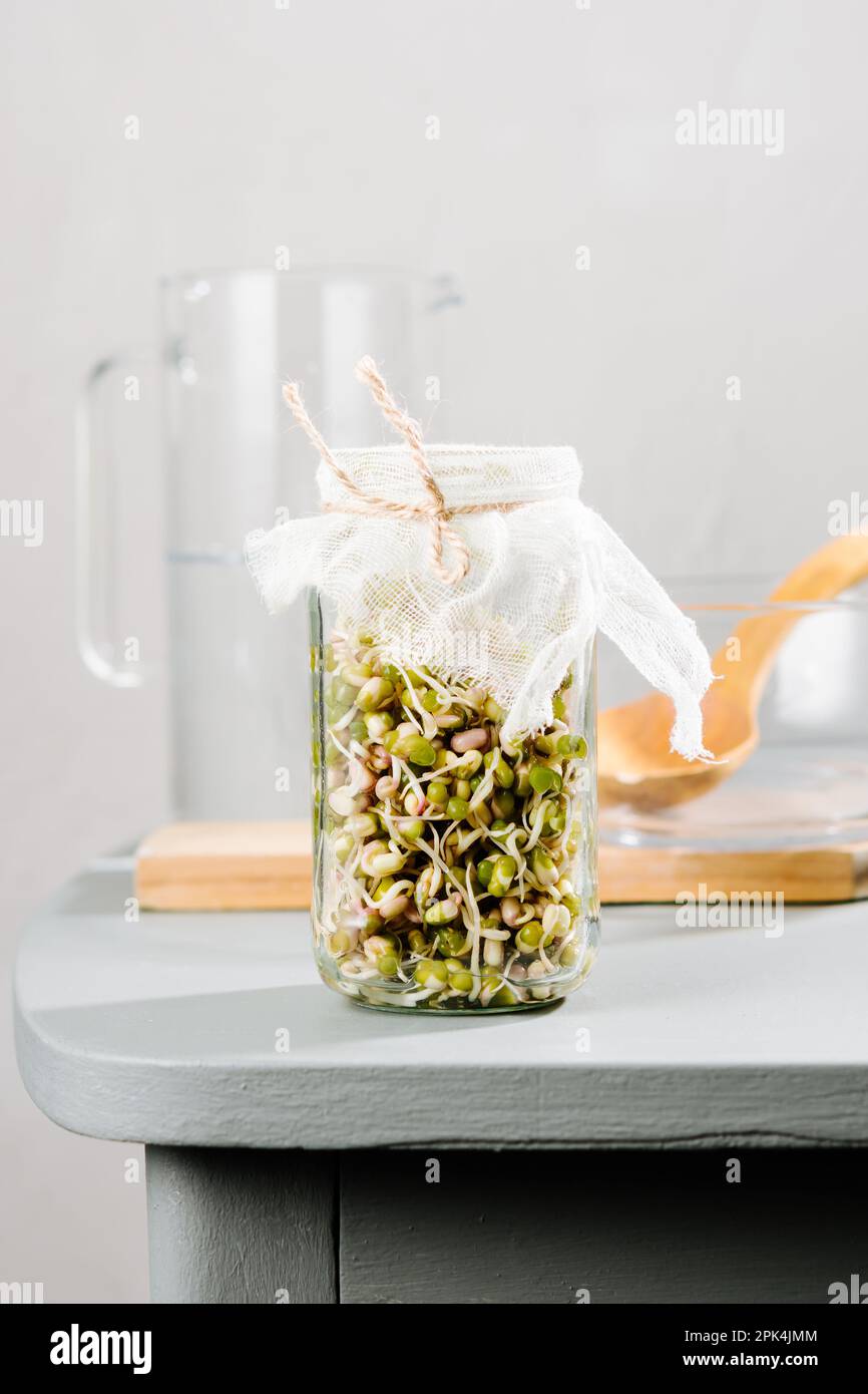 Fresh mung bean sprouts in a jar Stock Photo Alamy