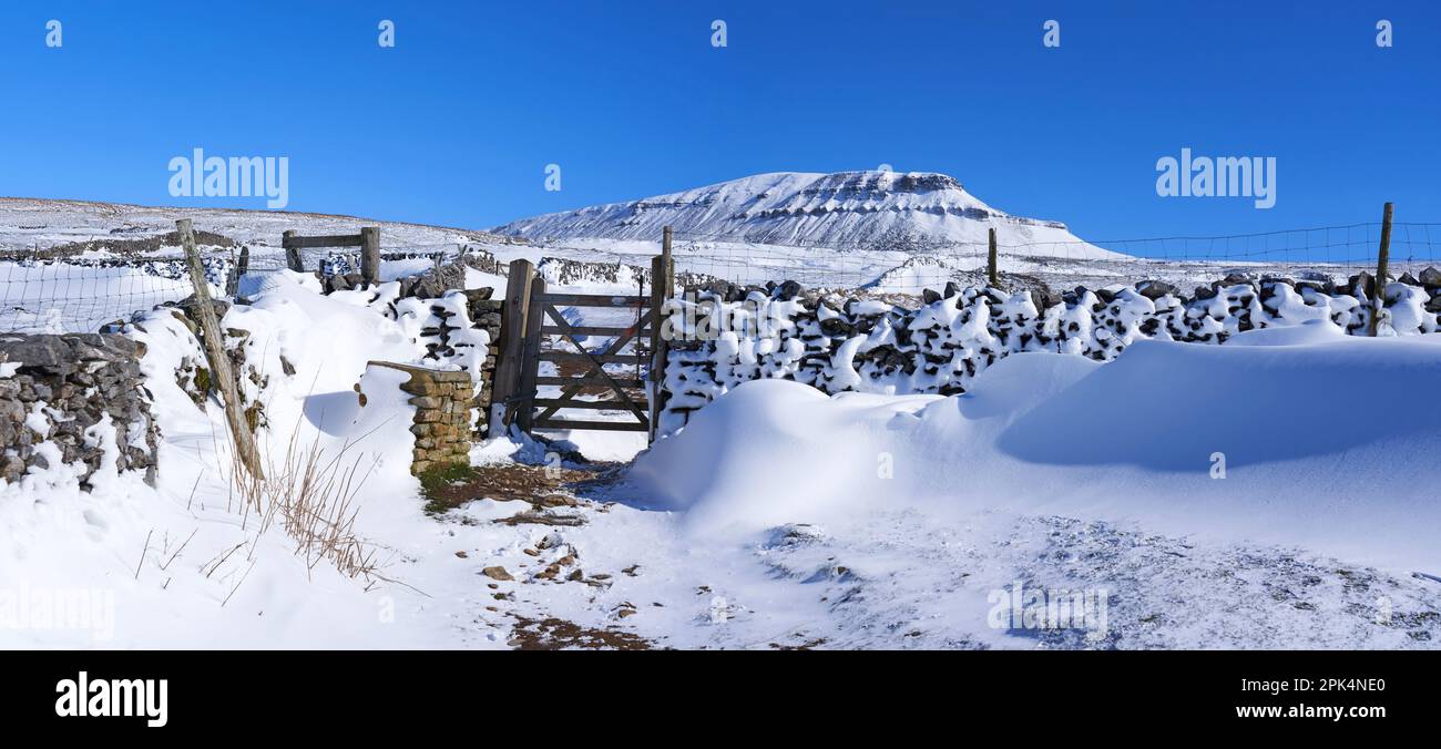 Pen-y-ghent near Horton-in-Ribblesdale Ribblesdale Yorkshire Dales Stock Photo