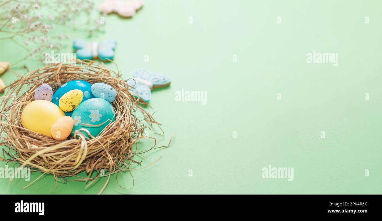 Easter banner on a green background. Bird's nest with Easter eggs. Happy Easter Stock Photo