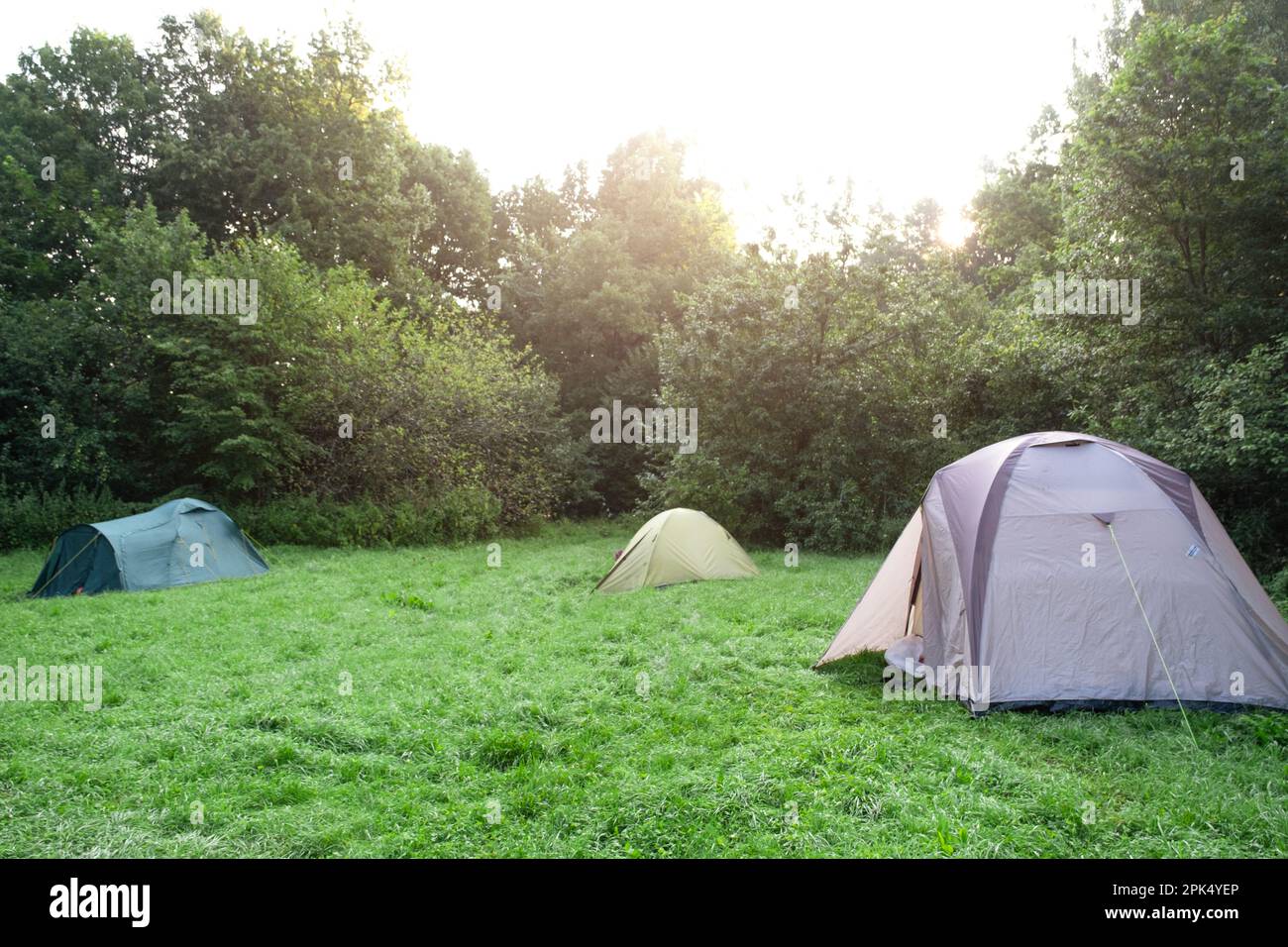 Installed tourist tent in a camping in nature in the forest. Domestic tourism, active summer holidays, family adventures. Ecotourism, sport, hike. moc Stock Photo