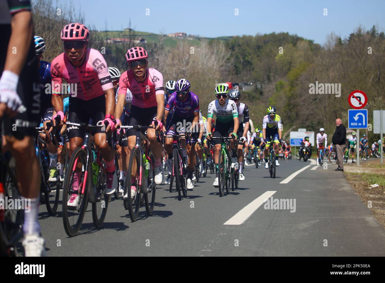 Iraeta, Spain, 05th April, 2023: The peloton with the EF Education - EasyPost riders during the 3rd Stage of the Itzulia Basque Country 2023 between Errenteria and Amasa-Villabona, on April 05, 2023, in Iraeta, Spain. Credit: Alberto Brevers / Alamy Live News Stock Photo