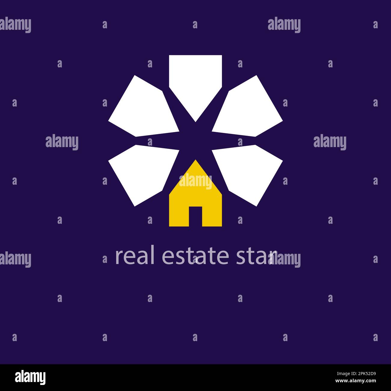 Real estate star logo. Unique design. Real estate network and center