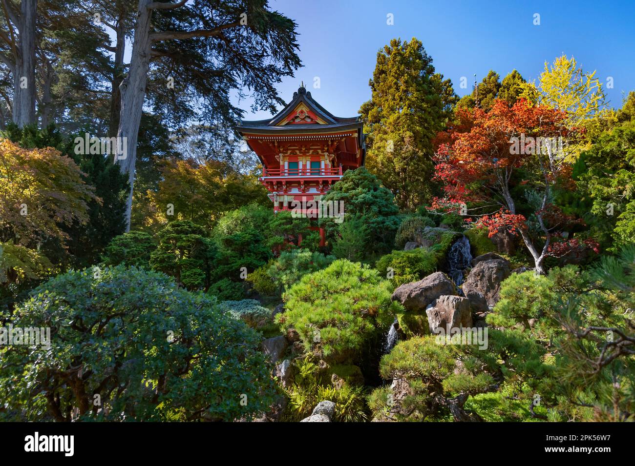 The Japanese Tea House in the Japanese Tea Garden is a highlight in