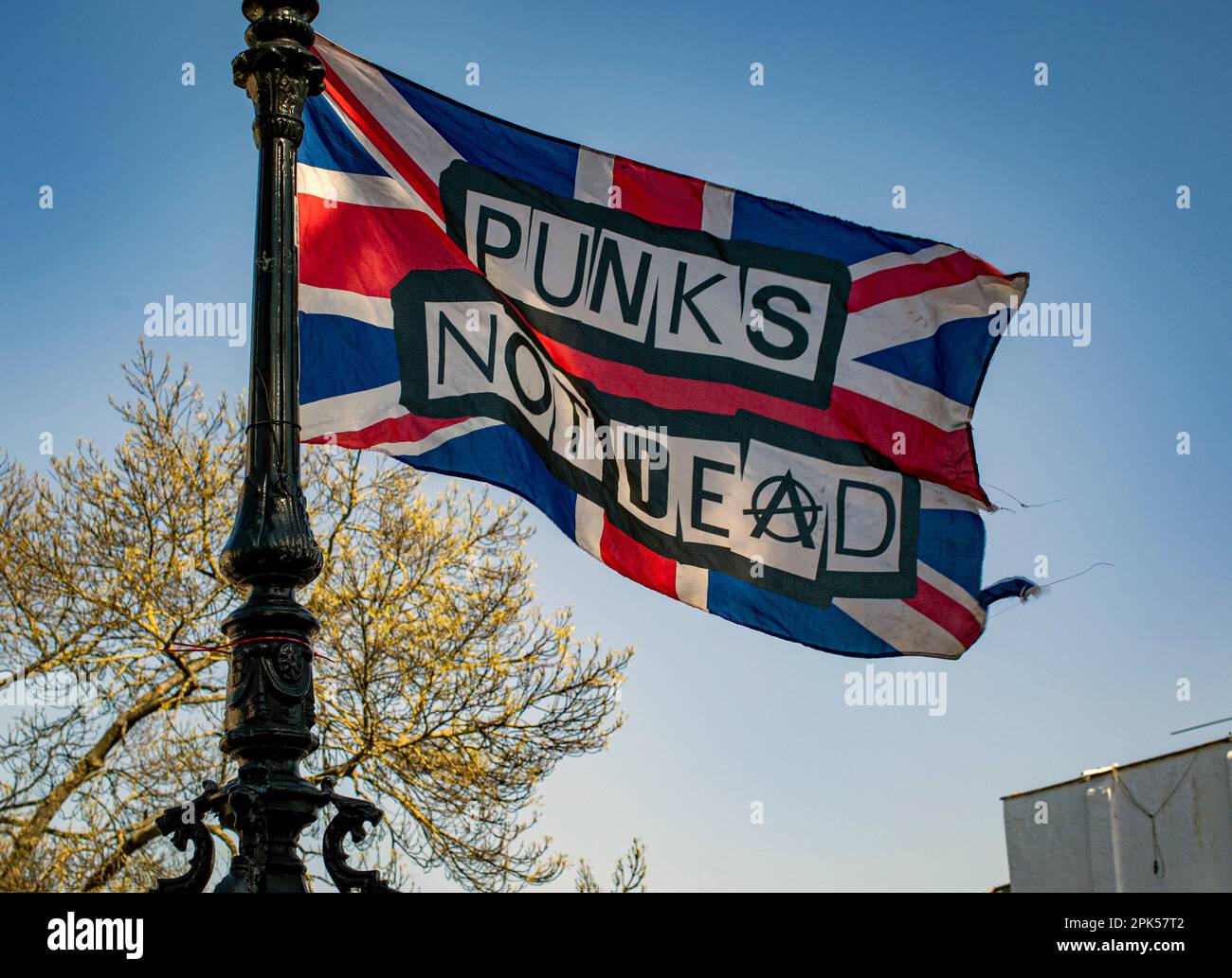 The exploited punk hi-res stock photography and images - Alamy