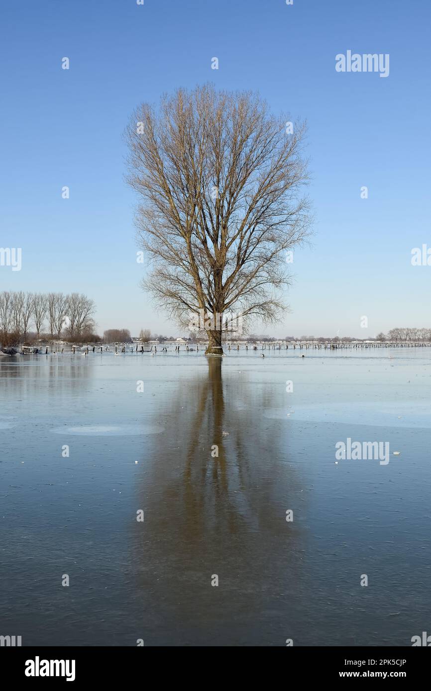 Hochwasser februar 2021 hi-res stock photography and images - Alamy