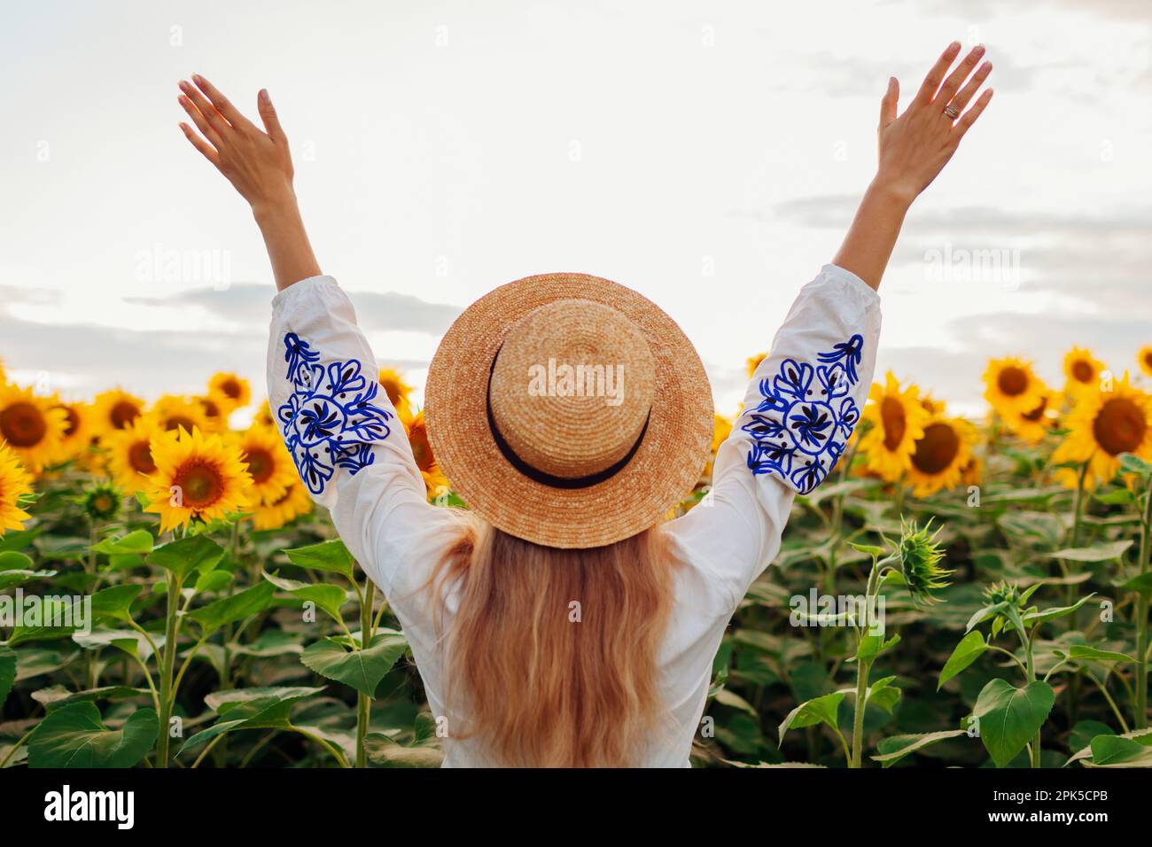 green dress in sunflower field Girl with Sunflowers in Hands, Daughter of Nature in Green Dress Stock Image
