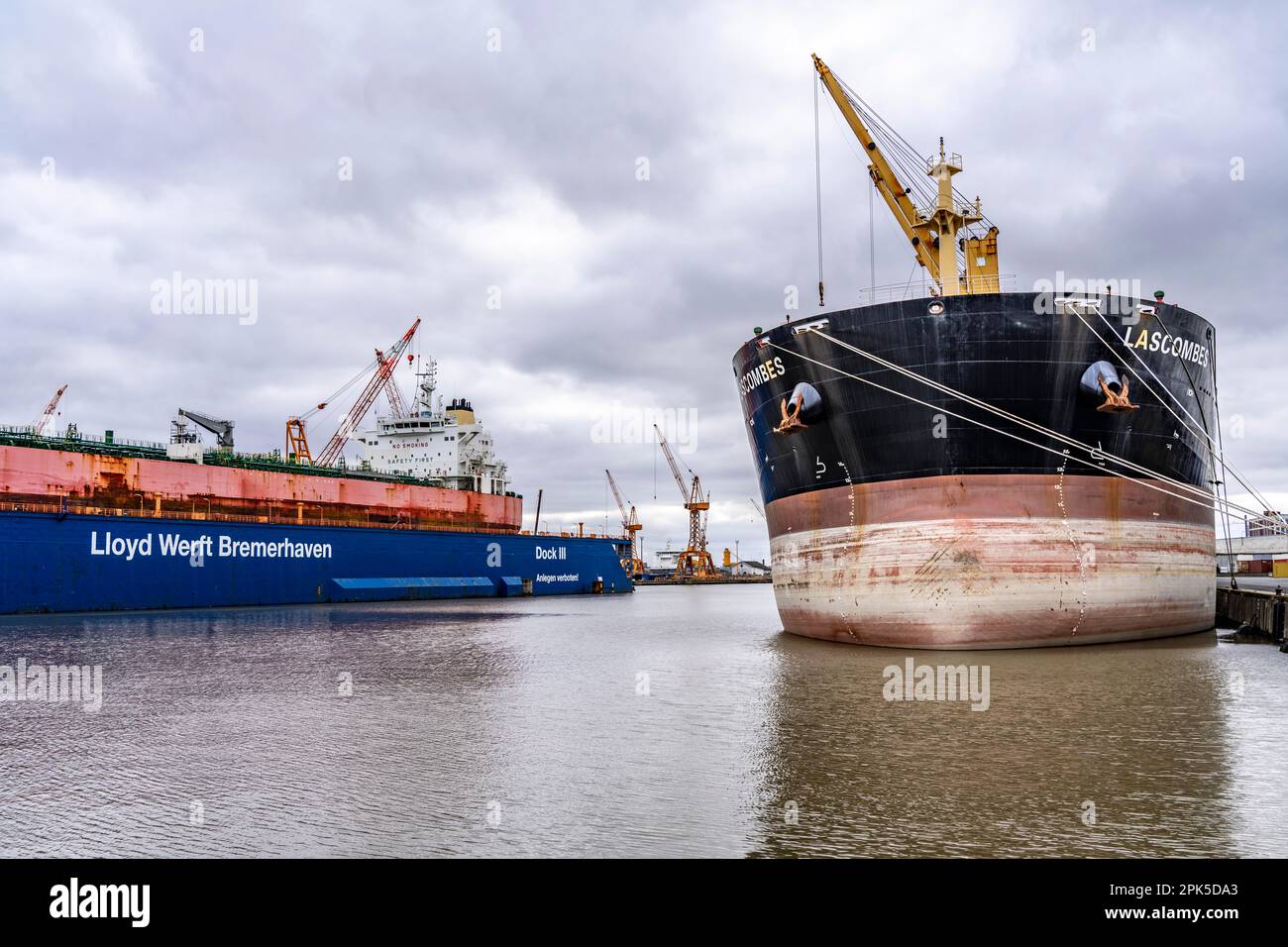 Lloyd Werft, dry dock, freighter Atlantic Journey, shipyard in the overseas port of Bremerhaven, Bremen, Germany Stock Photo