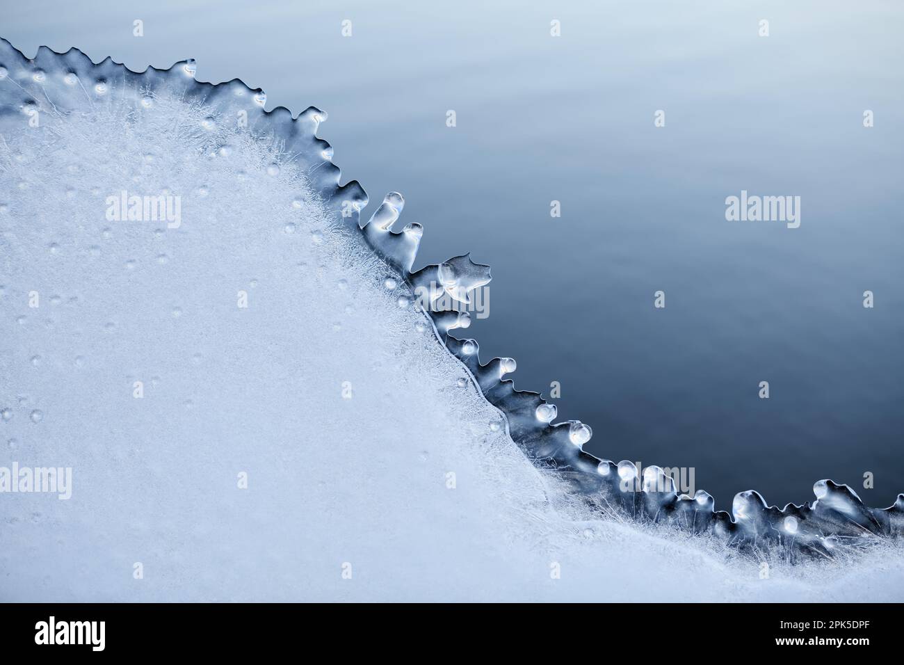 ice cold... Ice plate ( winter flood 2020/2021 ), thawed, naturally