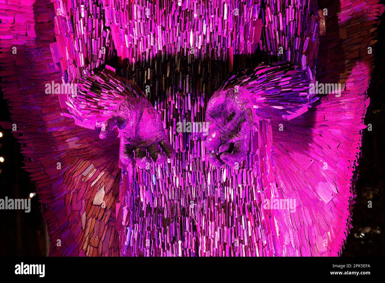 The Knife Angel sculpture illuminated in Purple after been unveiled in
