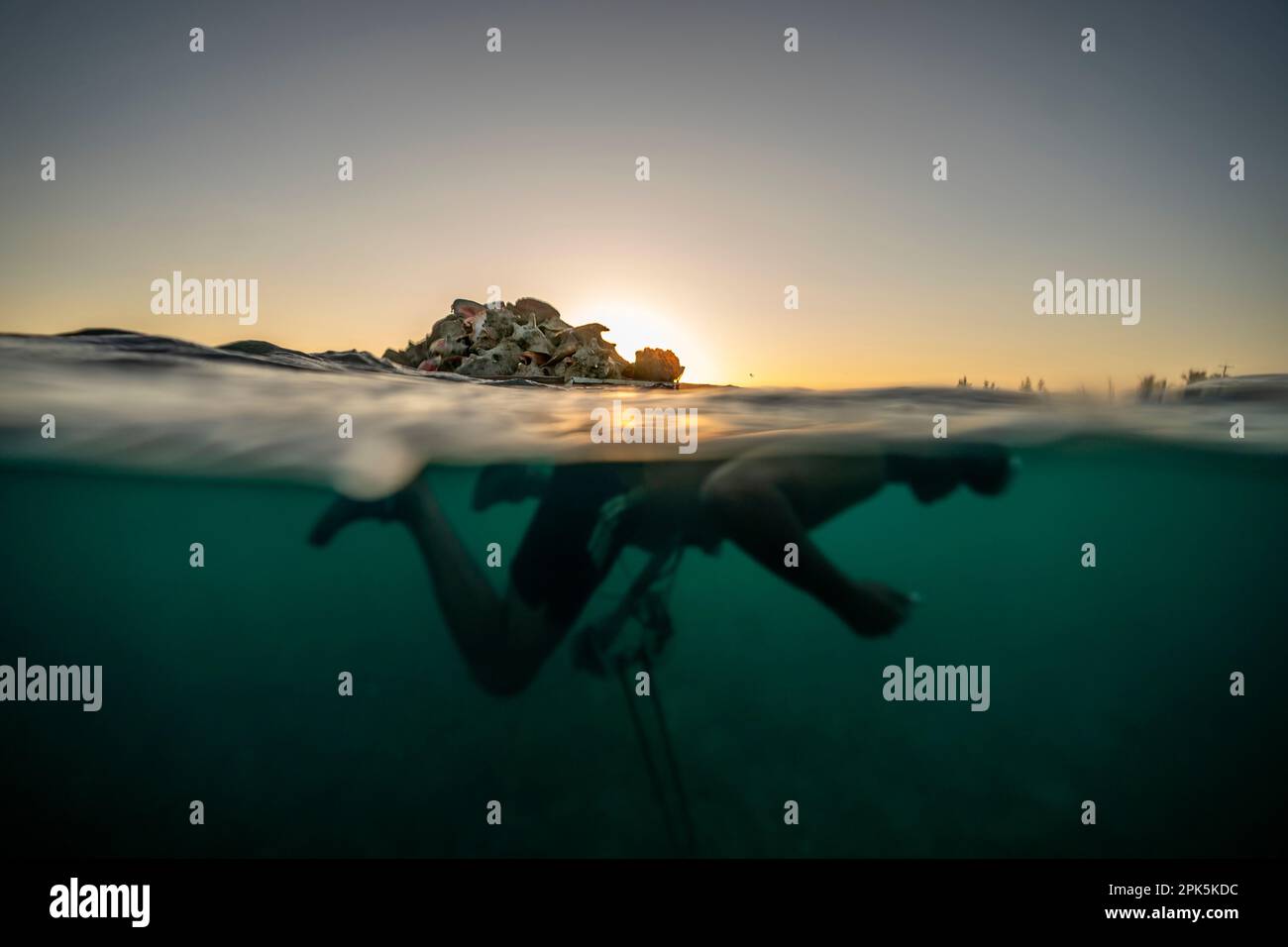 Edmond Coverley swims to shore while pulling a raft loaded with conch