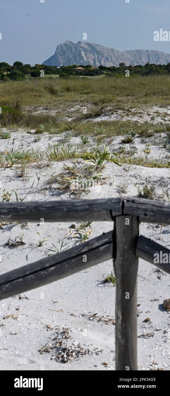 Sand and wooden railing, La Cinta Beach, Tavolara Island, Sardinia, Italy Stock Photo