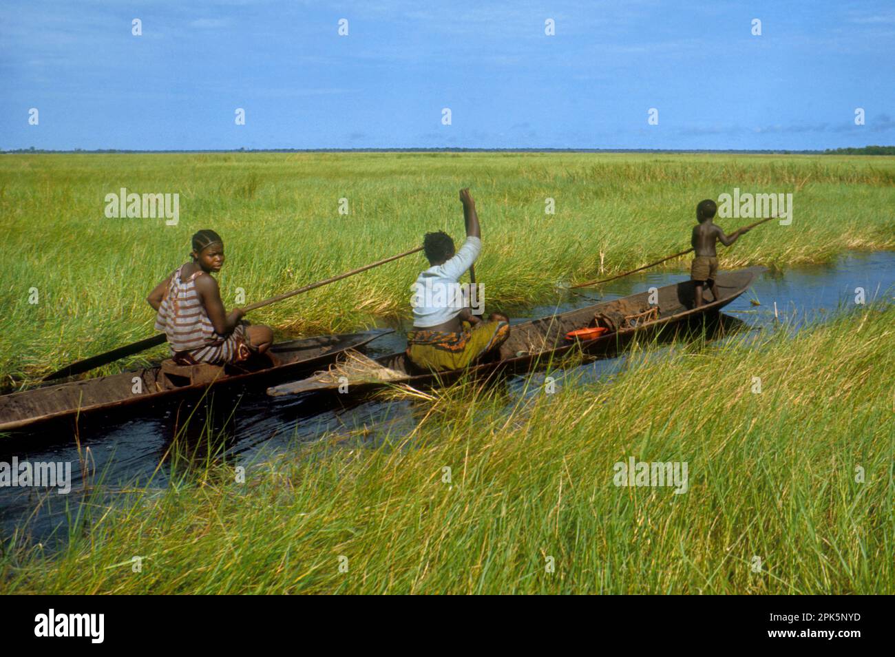 Africa, Democratic Republic of the Congo, Ngiri River area: Women of Libinza ethnic group in canoe in swamp savanna, going to swamp forest to fish and collect drinking water Stock Photo