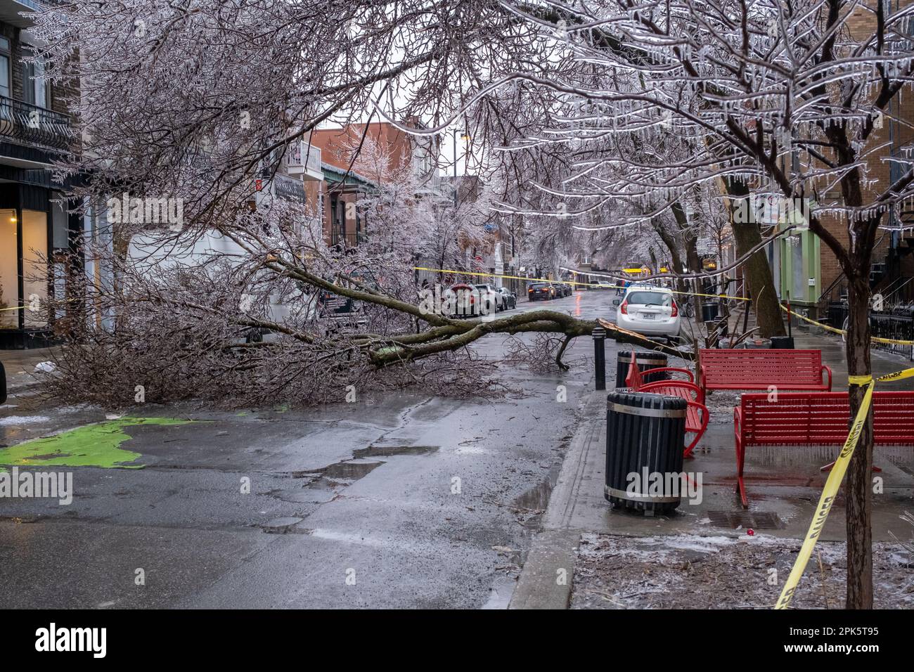 Montreal, CANADA - 5 April 2023: The freezing rain storm has damaged a tree Stock Photo