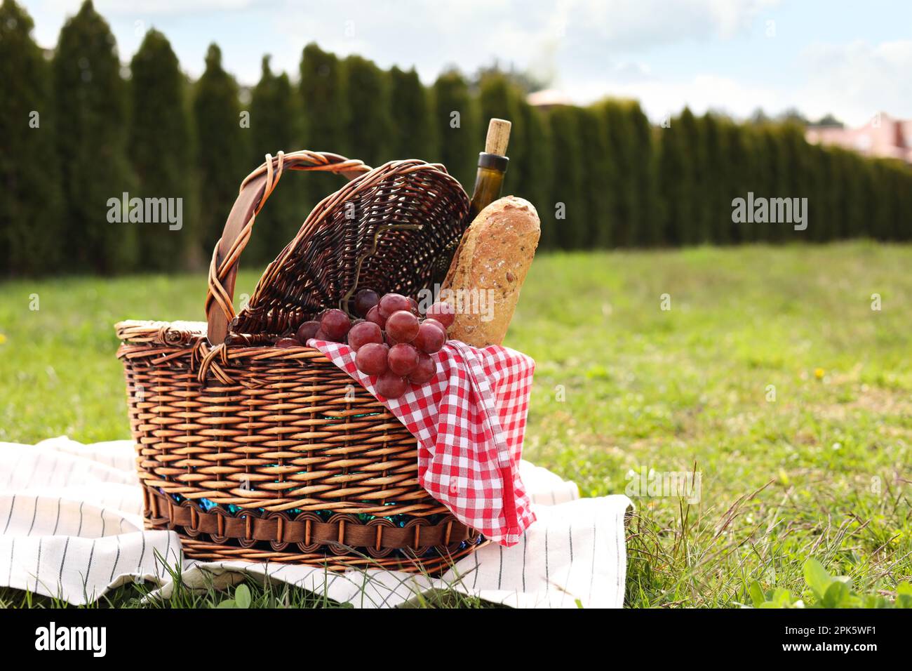 Picnic basket with bottle of wine, bread, grapes, napkin and blanket on ...