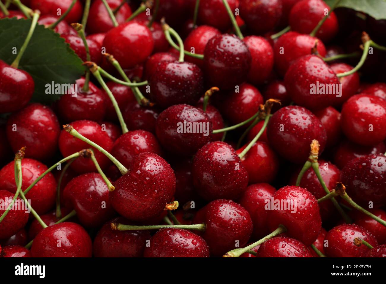 Many sweet cherries with water drops as background, closeup Stock Photo ...