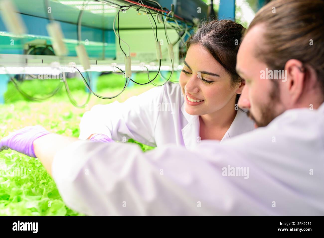 Developing learning hi-res stock photography and images - Alamy
