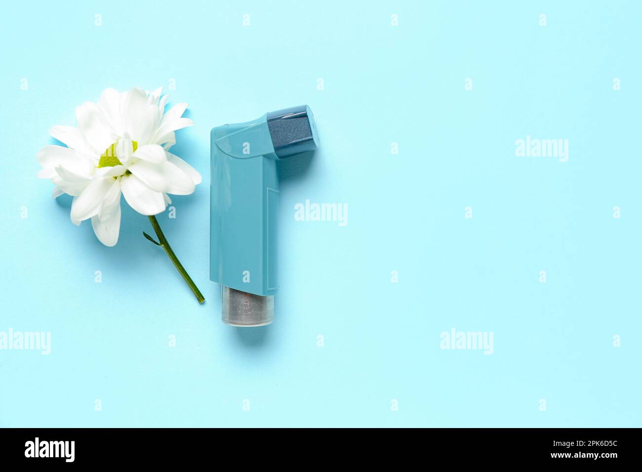 Asthma inhaler with daisy flower on blue background Stock Photo Alamy