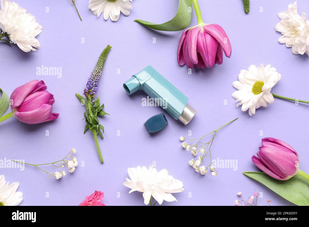 Asthma inhaler with flowers on lilac background Stock Photo Alamy