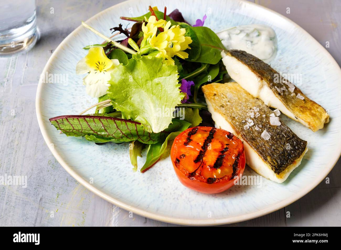 Sea bass with spring salad Stock Photo