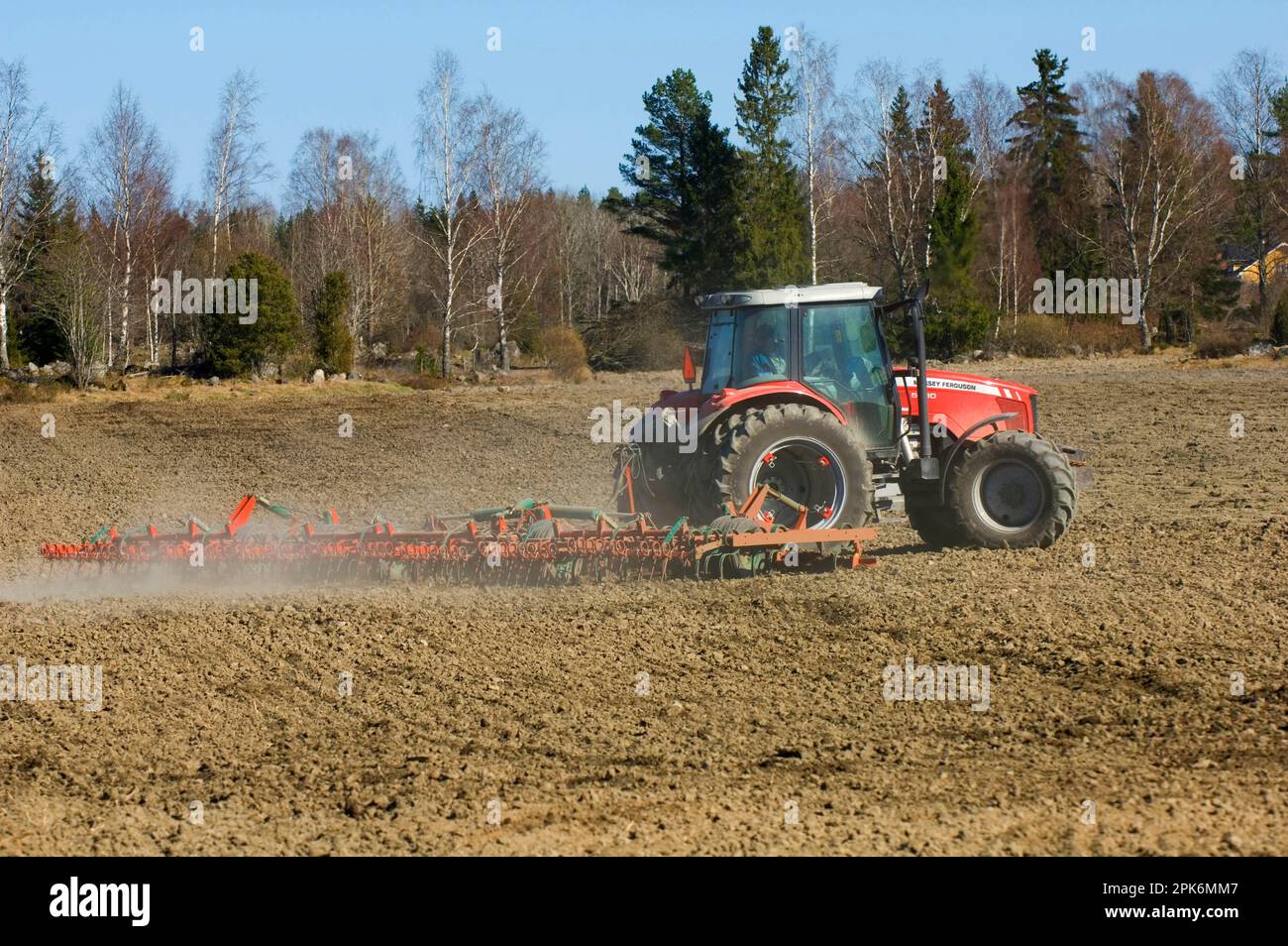 Massey Ferguson tractor pulling harrows, harrow field, Sweden, spring Stock Photo Alamy