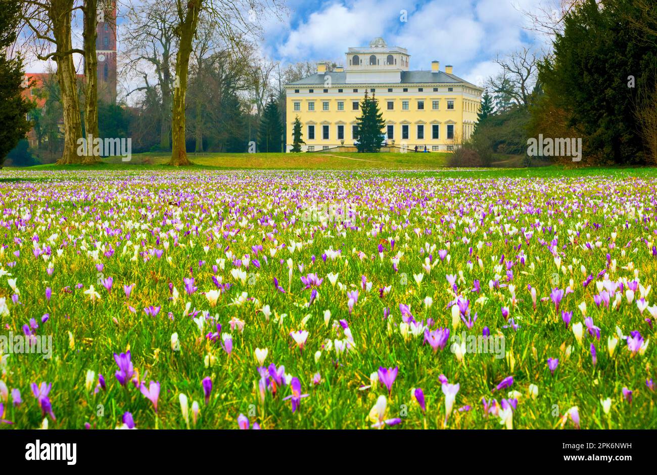 Crocus meadow, castle, Wörlitz Park, UNESCO World Heritage Garden