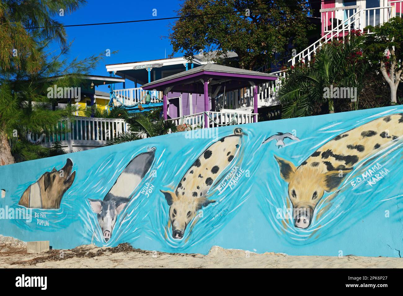 Famous swimming pigs immortalised as graffiti, behind holiday homes in the harbour of Staniel Cay, Exuma Cays, Bahamas Stock Photo