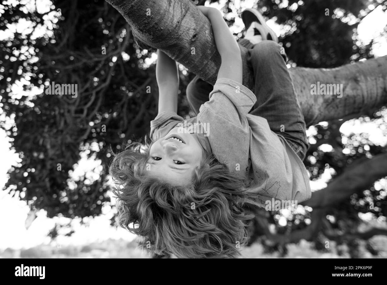 Kids climbing trees, hanging upside down on a tree in a park. Child protection. Stock Photo