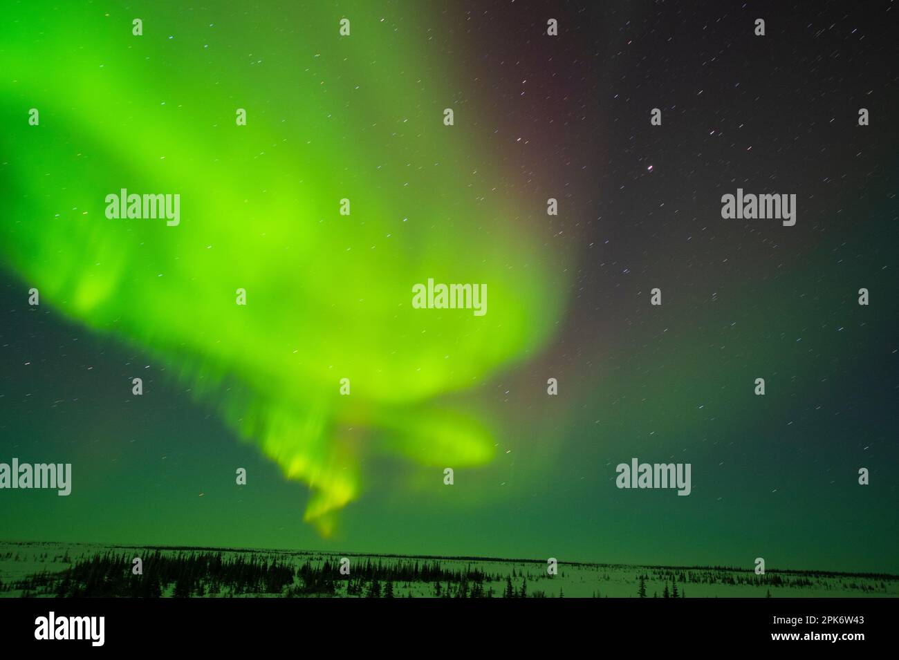 Aurora borealis in Churchill, Manitoba, Canada Stock Photo