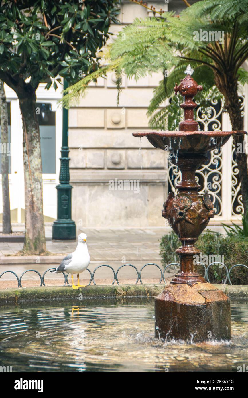 At Vigo, Spain,  on february 2022, historic center of the beautiful town in Galicia Stock Photo