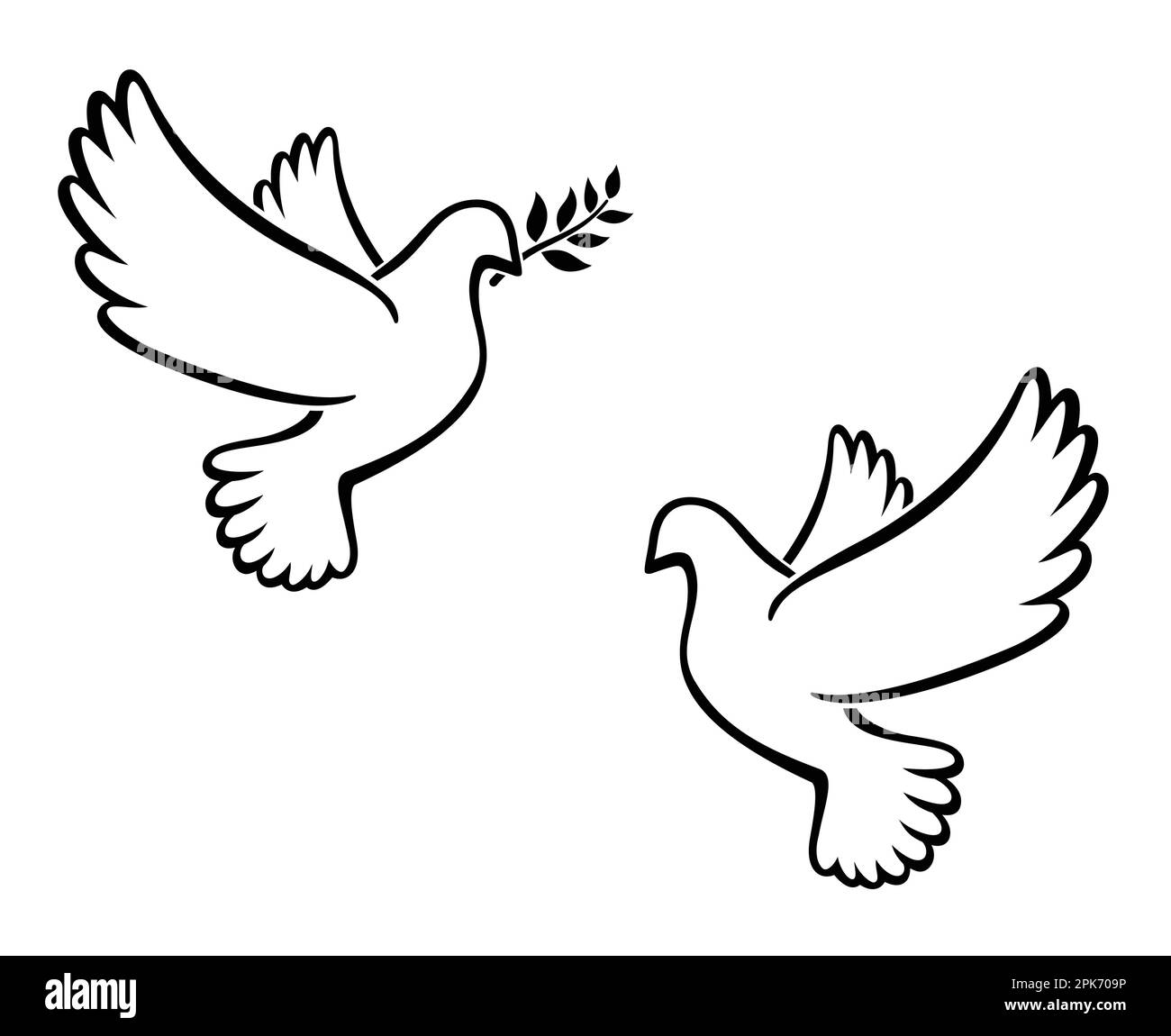 beautiful flying white peace dove pigeon bird outline with olive branch silhouette vector isolated on white background set of 2 Stock Vector