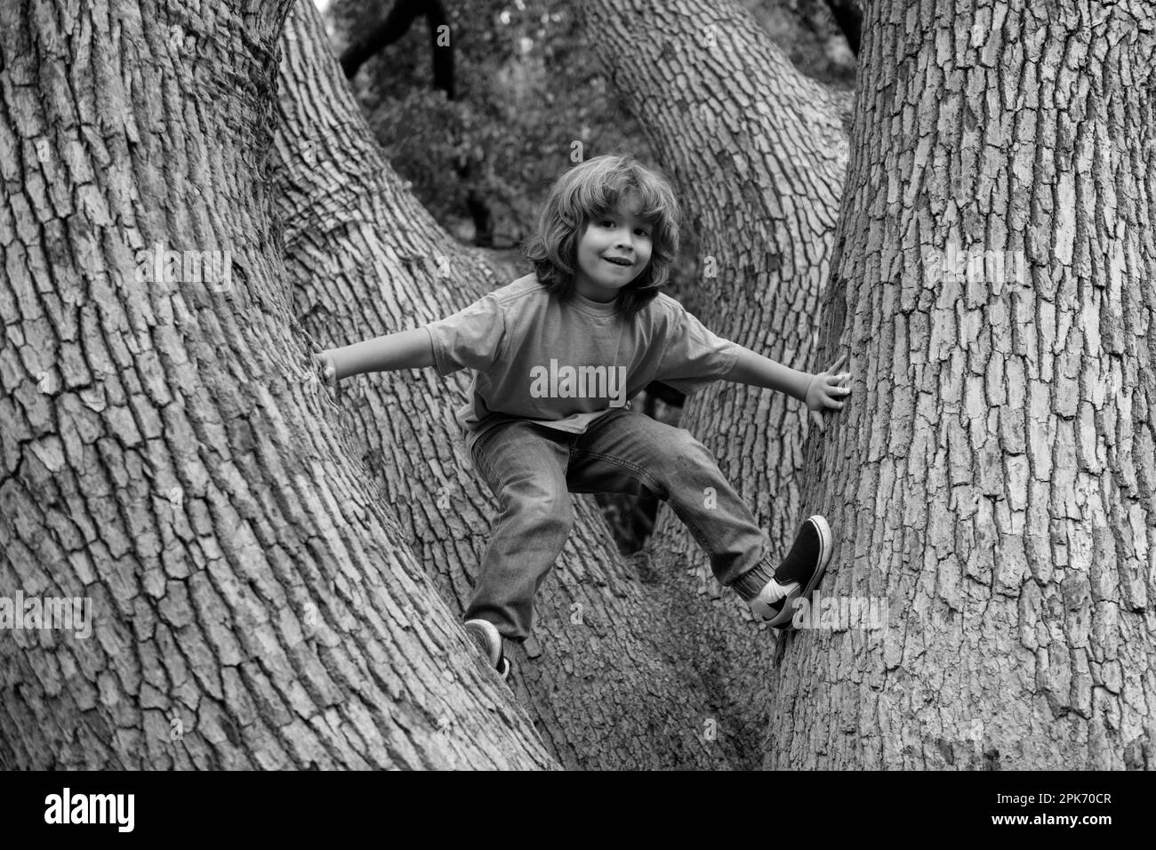 Children climbing tree Black and White Stock Photos & Images Alamy
