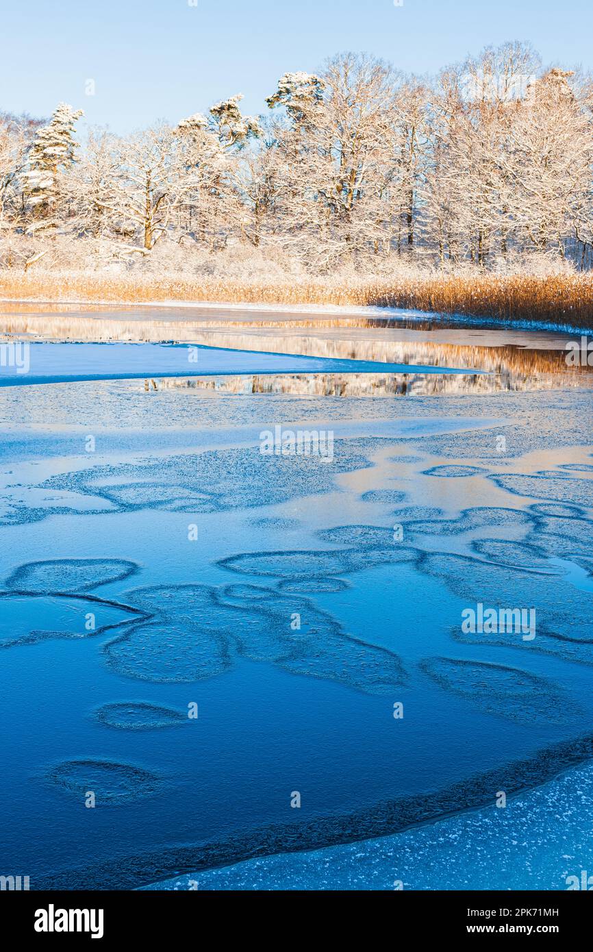 A breathtaking winter landscape in Sweden; a tranquil frozen river reflecting the deep blue sky and snow-covered shore. Stock Photo
