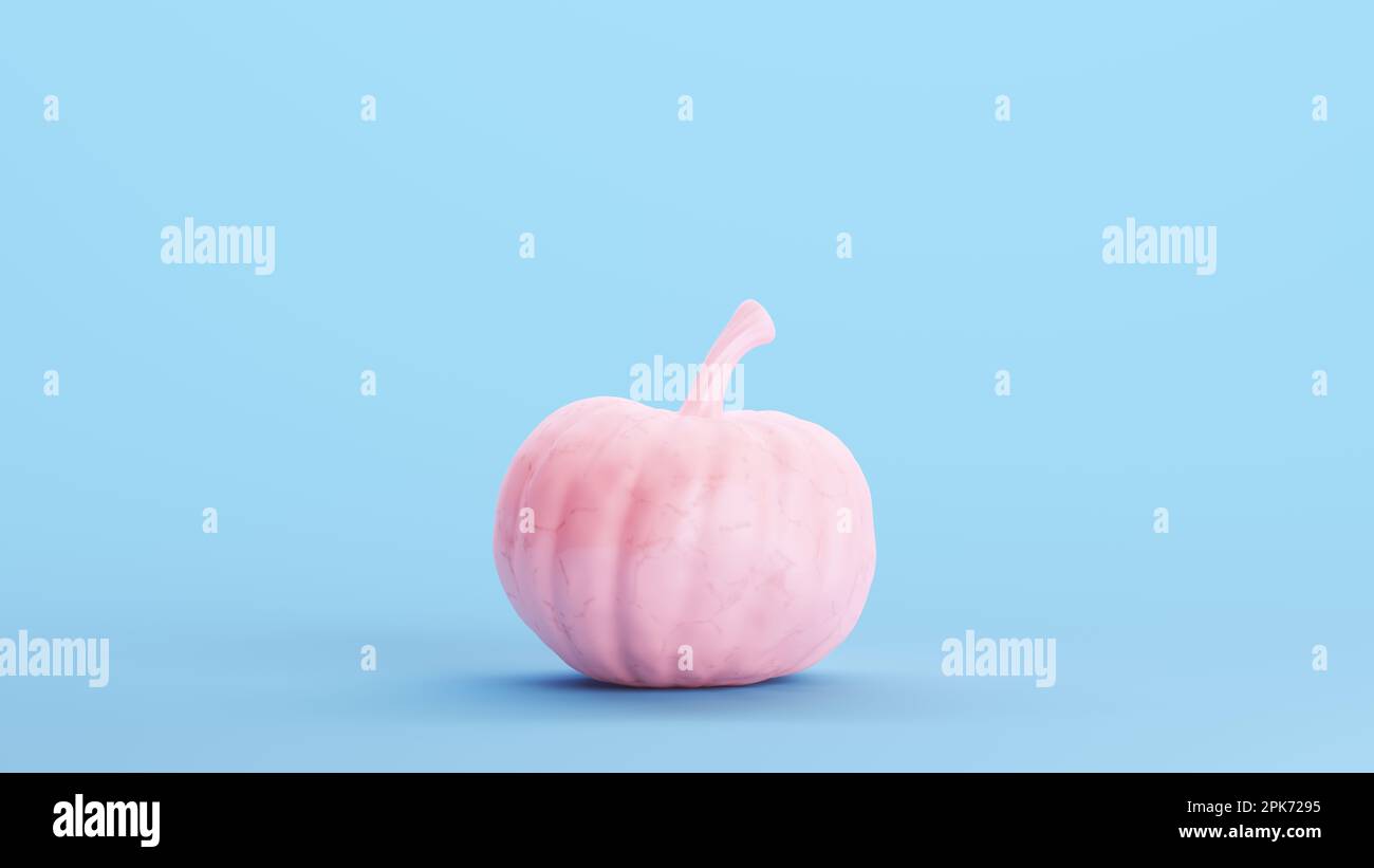 Pink Pumpkin Simple Kitsch Halloween Food Vegetable Strawberry Colour