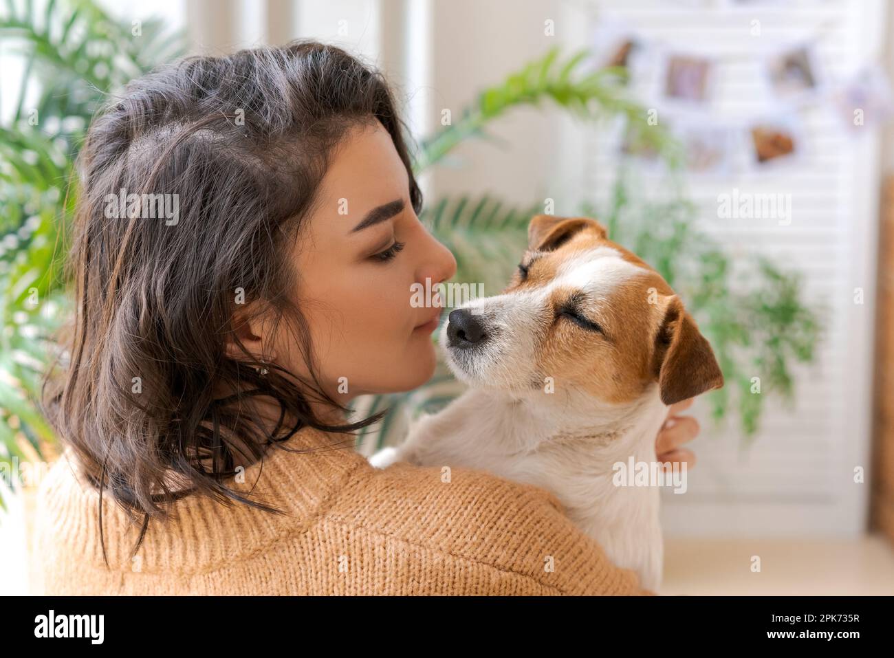 Woman hugs cute little dog lying in her arms at home. Close-up. Trust ... - Calmness And Love From Dog Stare