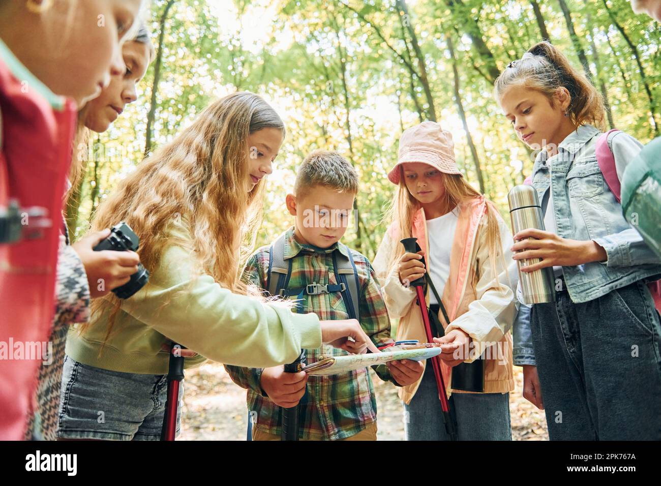 Using map. Kids in green forest at summer daytime together Stock Photo ...