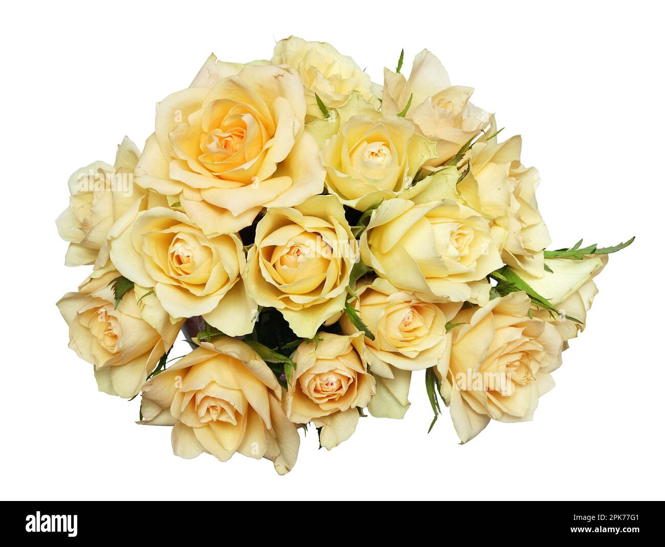 Bunch red white velvet hi-res stock photography and images - Alamy