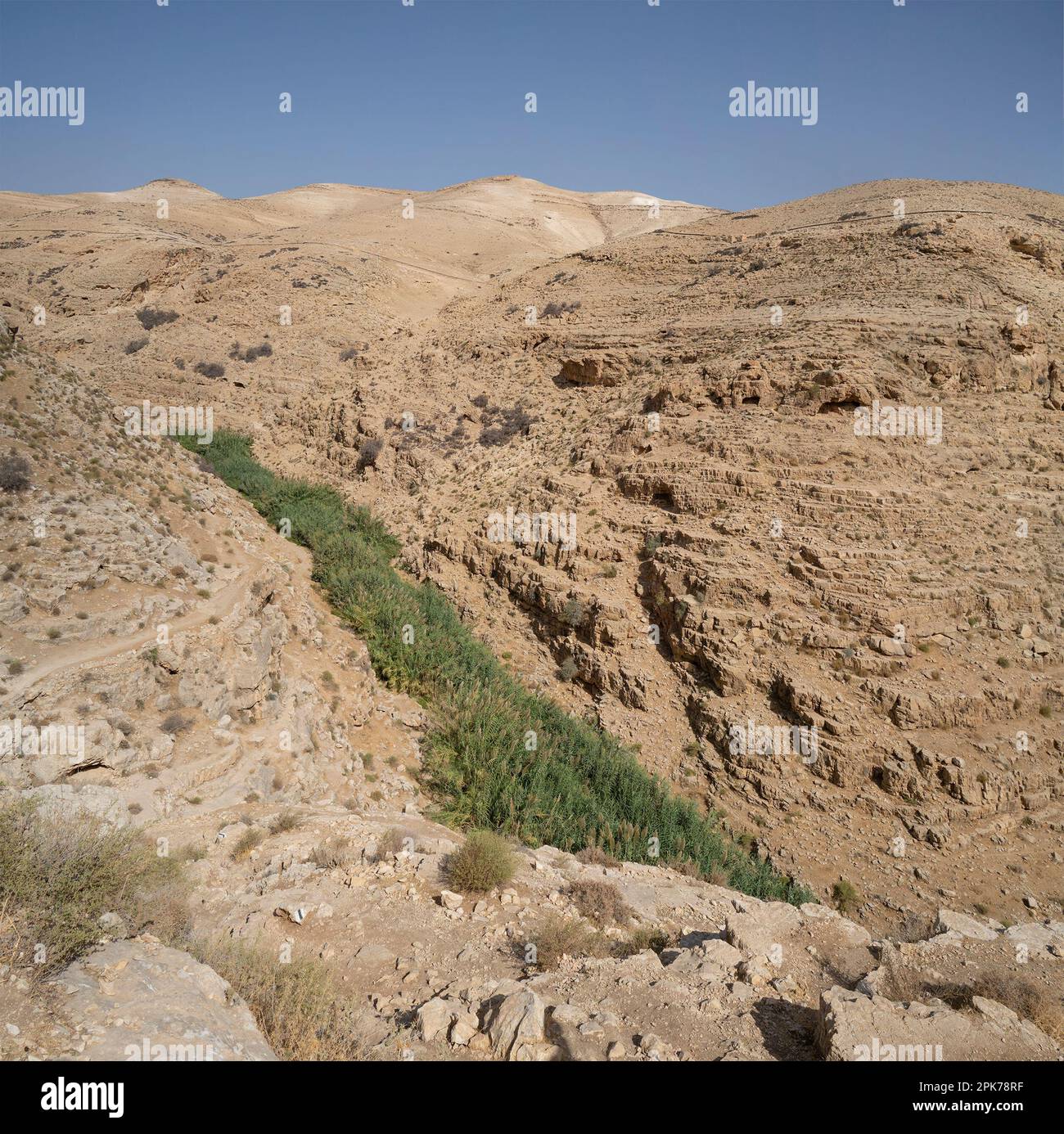 Reeds cave hi-res stock photography and images - Alamy