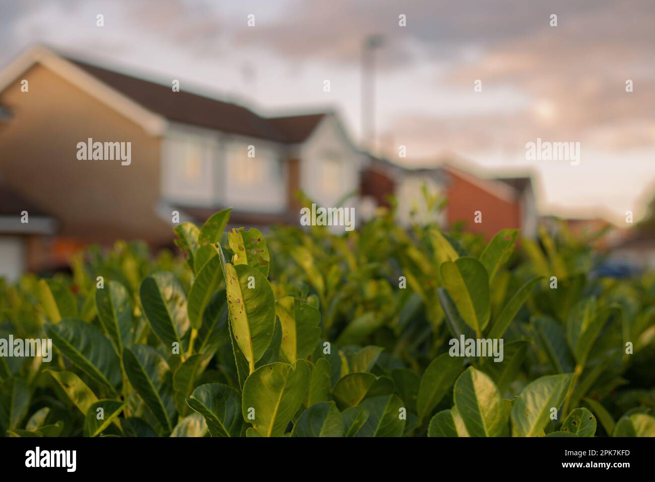 Sale of cottage houses in Europe Stock Photo Alamy