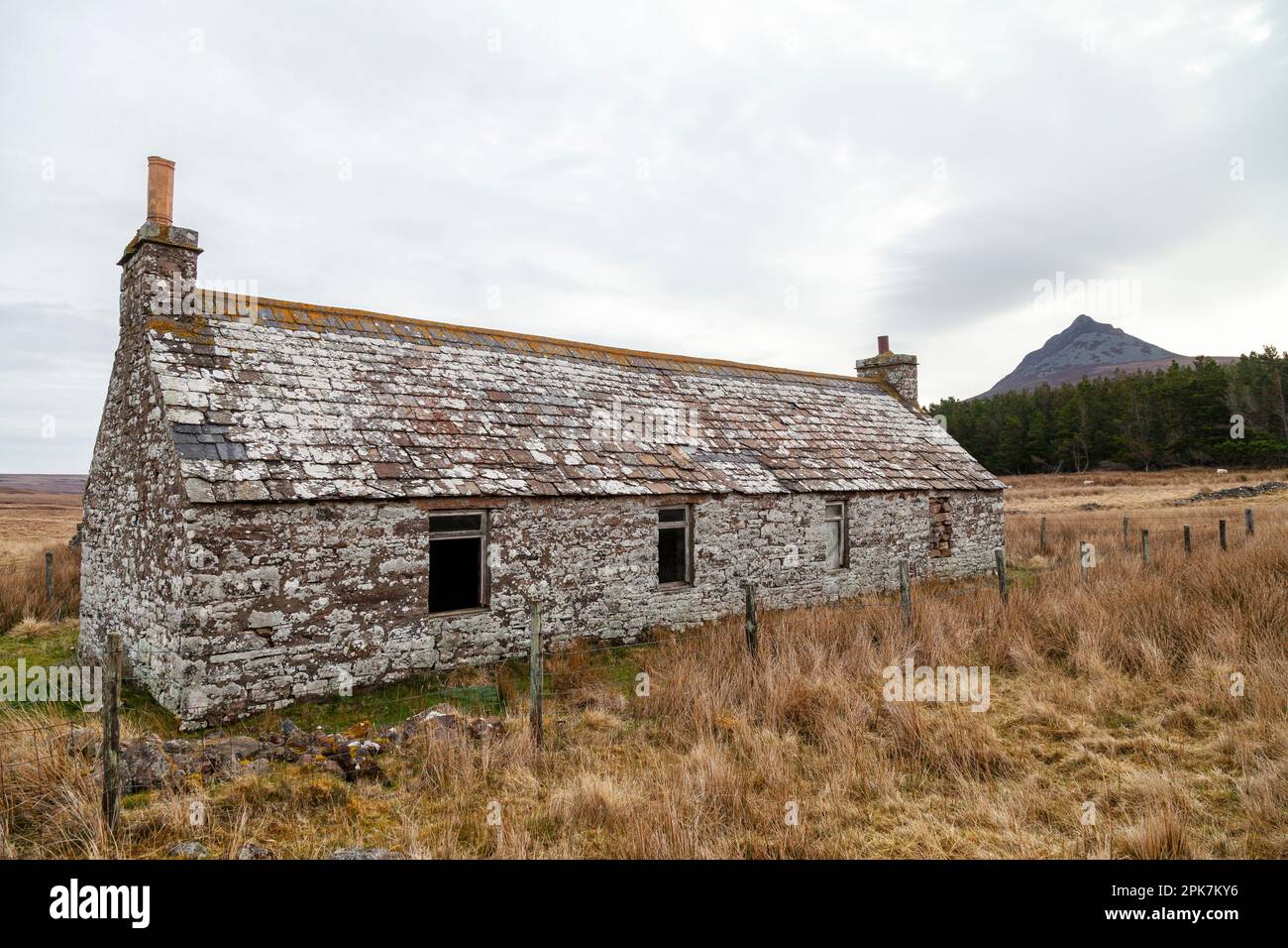 An old abandoned stone cottage with the hill Maiden Pap in the background, Caithness, Scotland Stock Photo