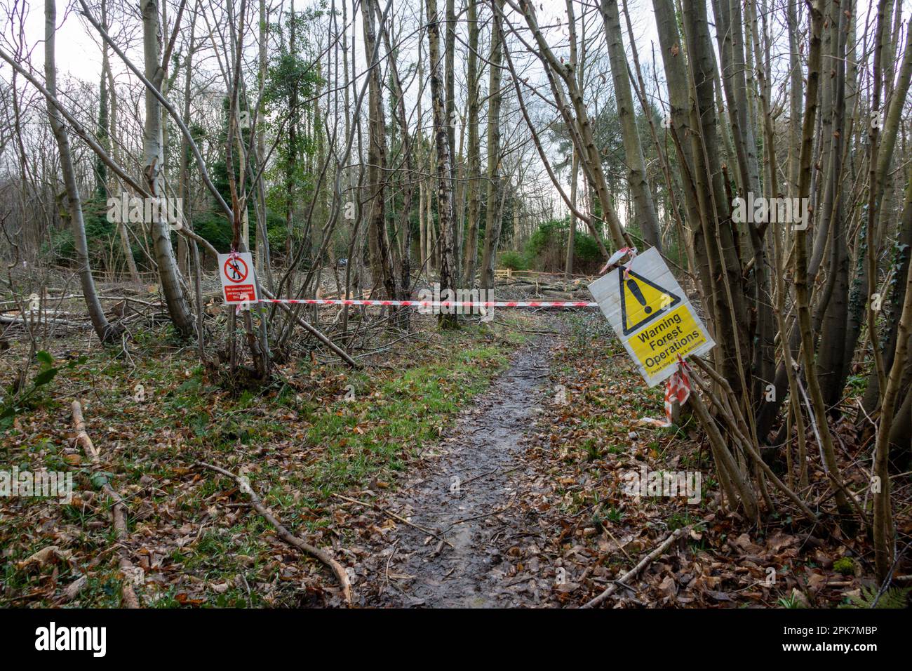 No unauthorised persons beyond this point and Warning Forest Operations
