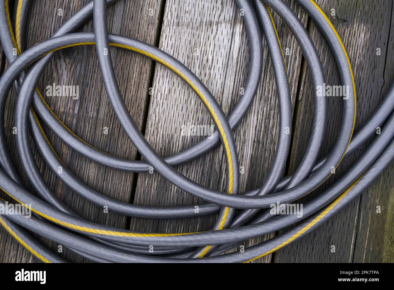 A coiled water hose. Stock Photo