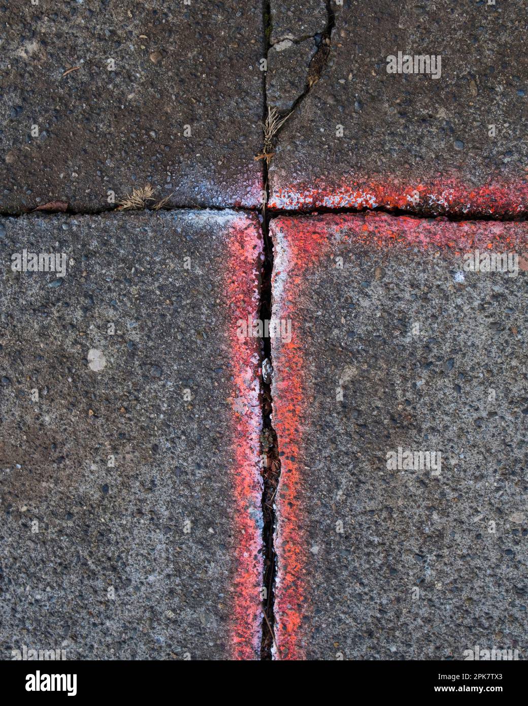 A crack between flagstones painted with a white line, on a concrete