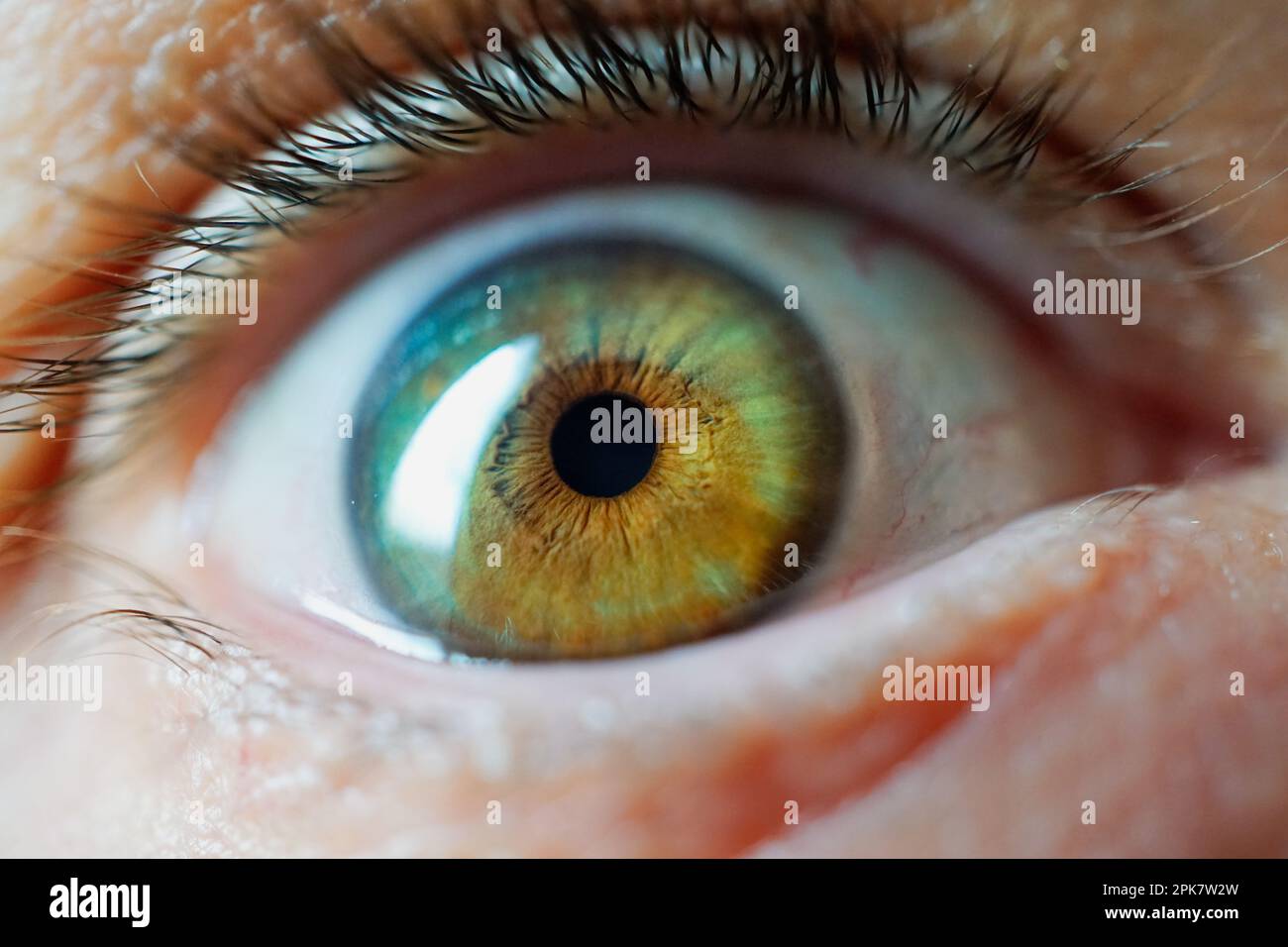 The body part hi res stock photography and images Alamy The body part hi res stock photography and images Alamy