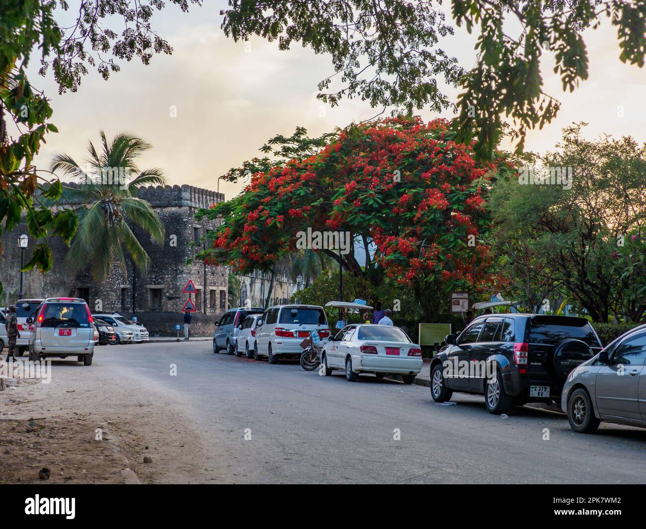 Zanzibar, Tanzania - January 2021: The Forodhani Gardens (also known as Jubilee Gardens and more recently as Forodhani Park) is a small park in the hi Stock Photo