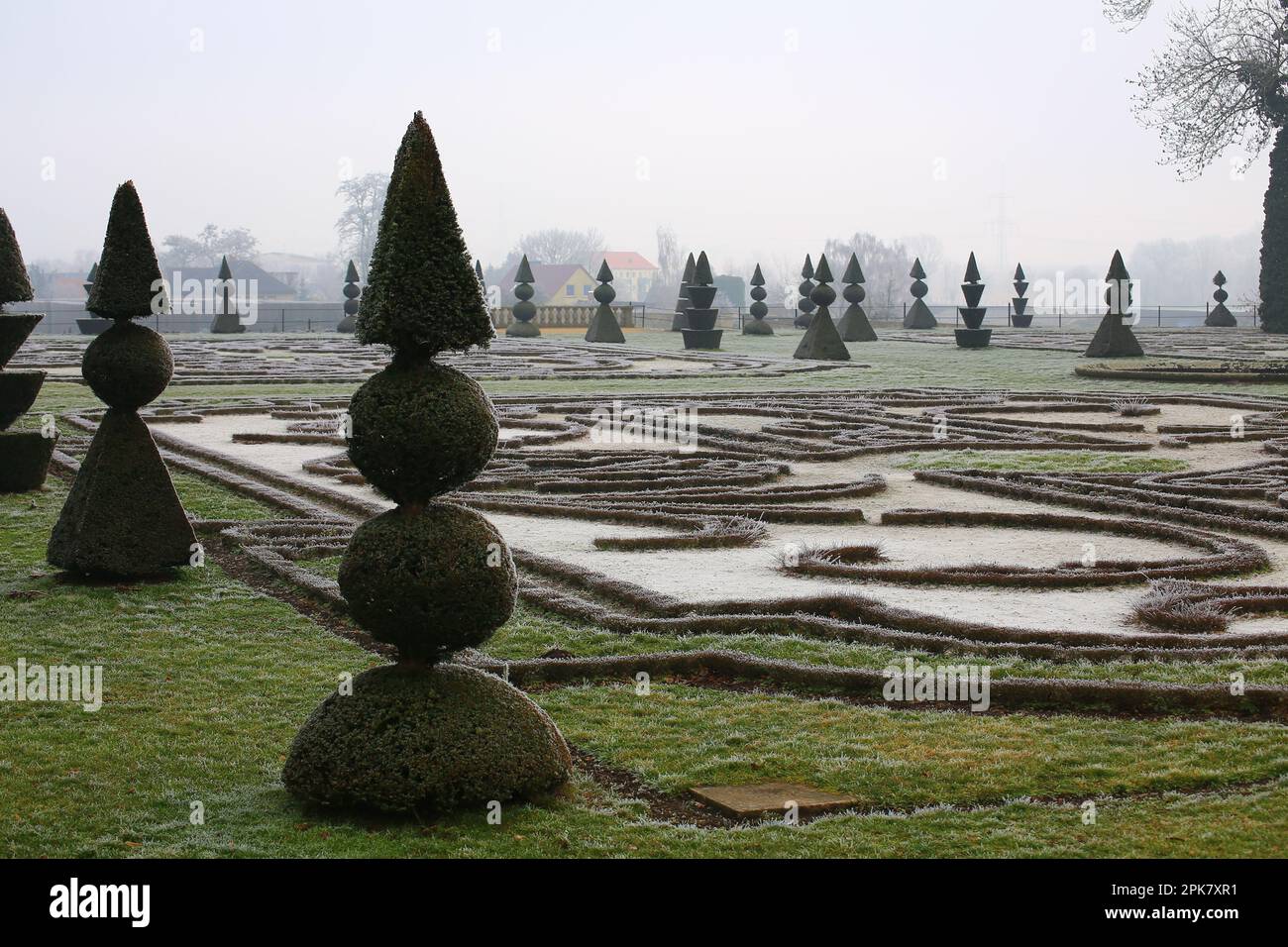 Topiary yews with pyramid and ball shapes in winterly palace garden. Stock Photo