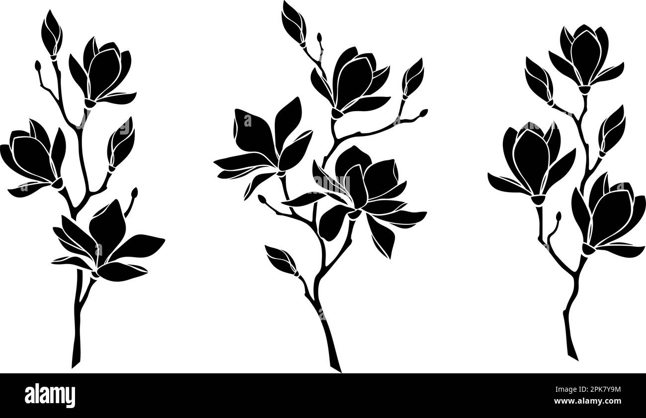Magnolia flowers. Set of magnolia branches. Vector black silhouettes