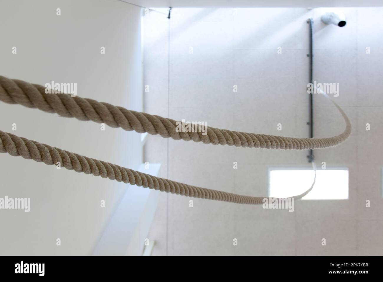 Indoor sports hall in a school, climbing ropes attached to the ceiling