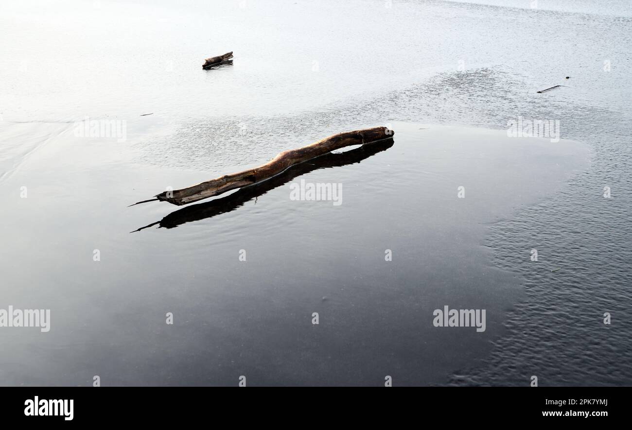 A tranquil view of a log in the serene body of water Stock Photo