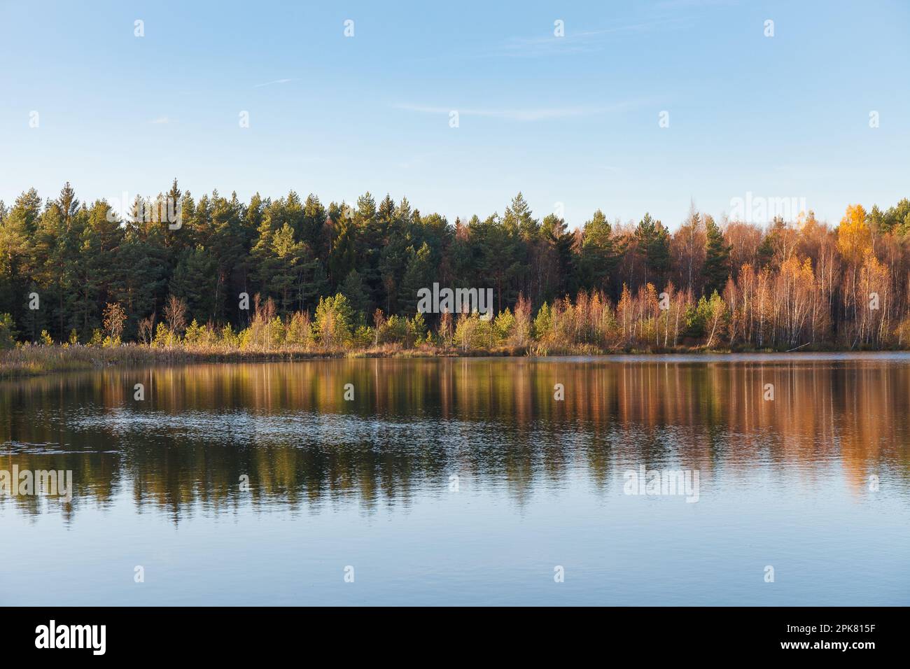 Fall colours of forest reflected in the waters of a lake Stock Photo ...