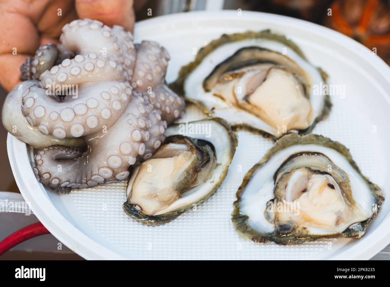 Fresh raw oysters and octopus ready to eat in a plate in a plate in a street fish market in Bari, Puglia, Italy Stock Photo